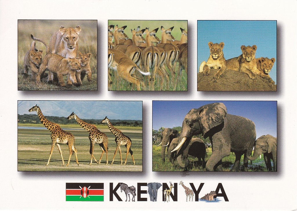 Kenia (2).jpg